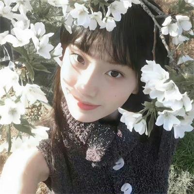乱世书香